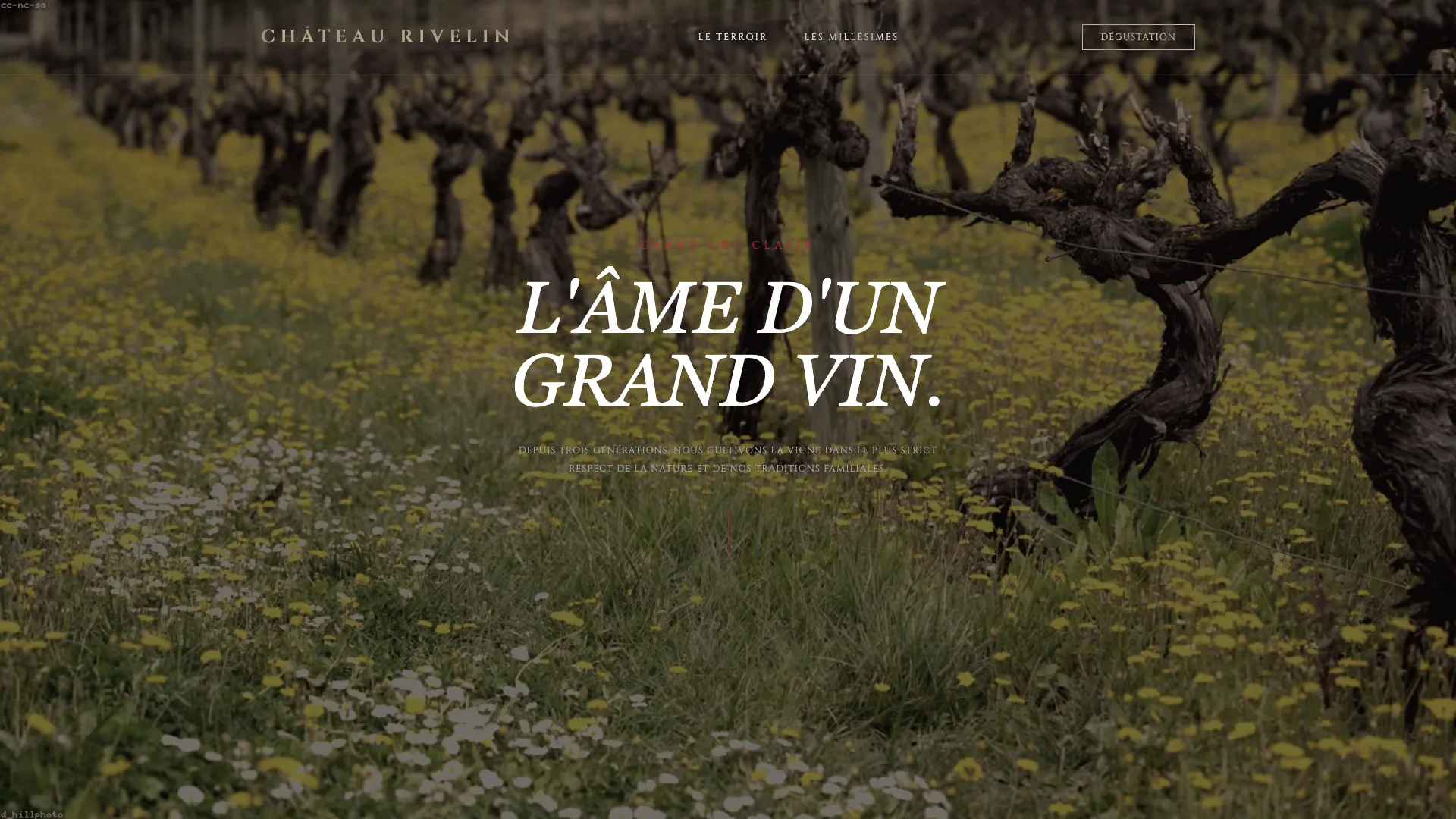 Template Agriculture & Nature - Modèle 3 (Domaine Viticole) 🍷