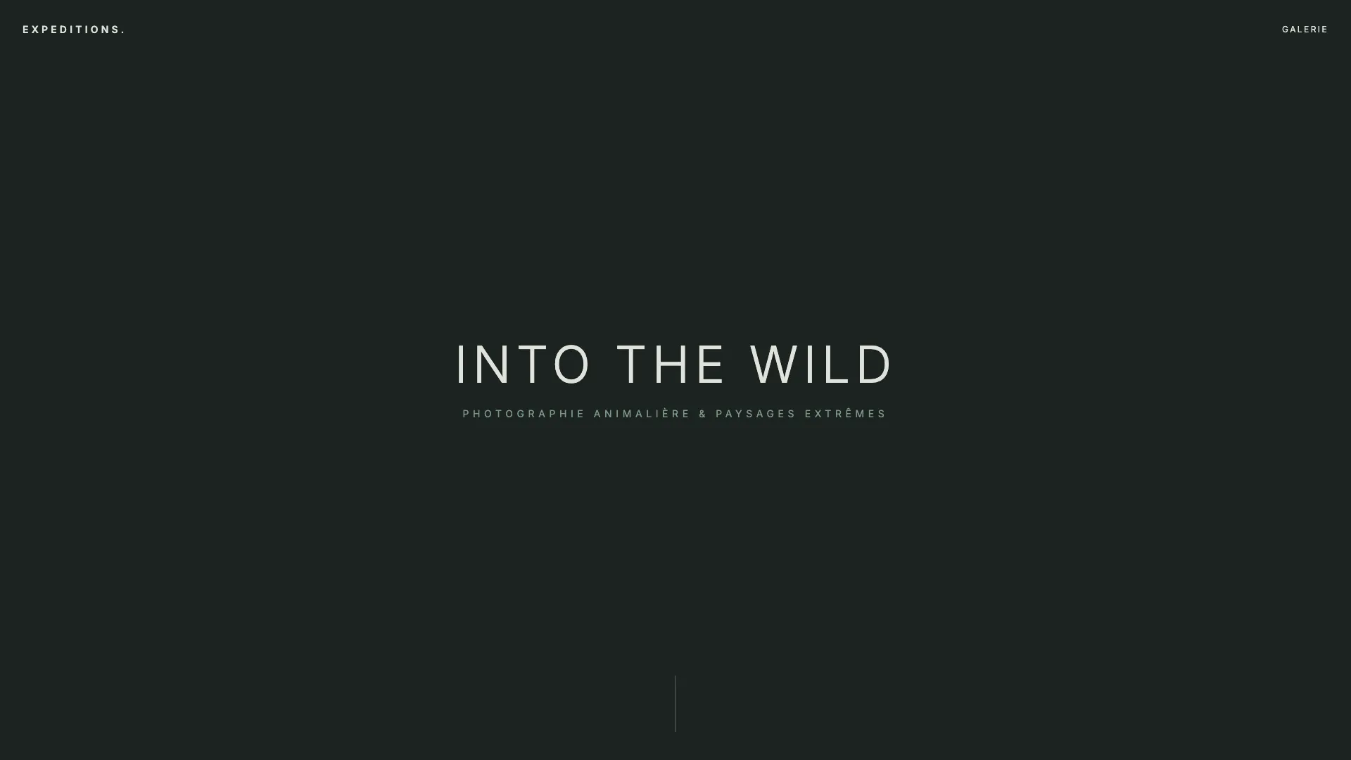Template Photographie - Modèle 4 (Wild Nature) 🌲